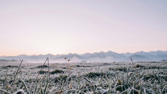 Frost-covered grass and a spiderweb gleam in the morning light before majestic mountains. This tranquil winter landscape is ideal for seasonal nature designs.