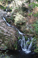 Cascade du Saut du Bouchot (Sapois, Vosges department, Grand Est, France) © stefantoonstra