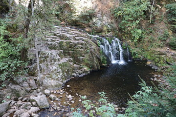 Cascade du Saut du Bouchot (Sapois, Vosges department, Grand Est, France) © stefantoonstra