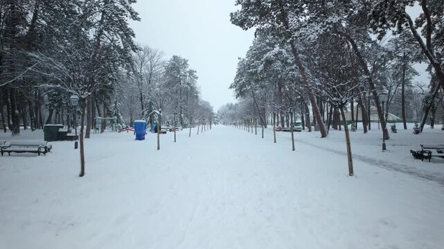 Snow Covered Park Path Through Winter Trees