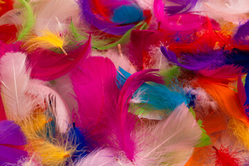Colorful feather background, top view. © Nikolay
