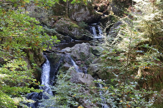 La Petite Cascade de Tendon (Vosges department, Grand Est, France)