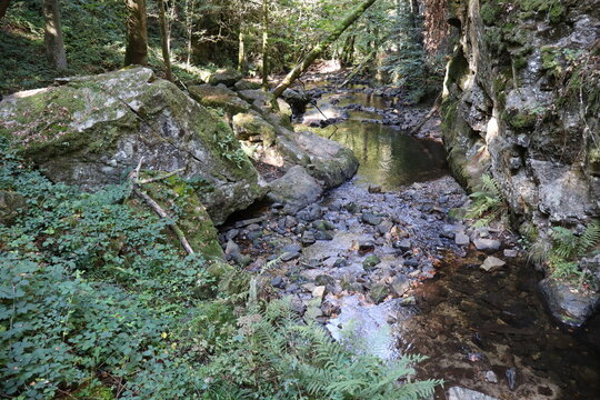 Tendon (Vosges department, Grand Est, France)
