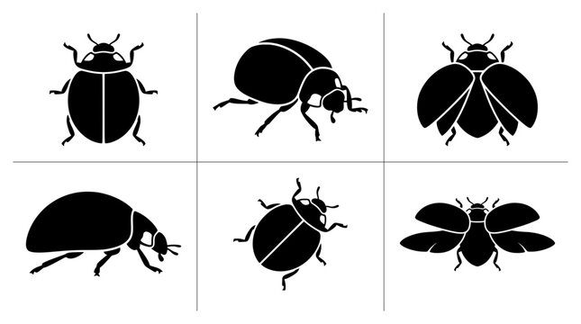 Ladybug silhouettes set with insects in various poses for nature logos and icons