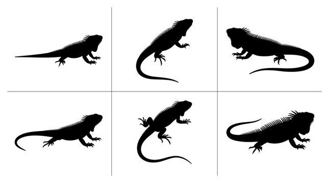 Iguana silhouettes set with reptiles in different poses for wildlife design