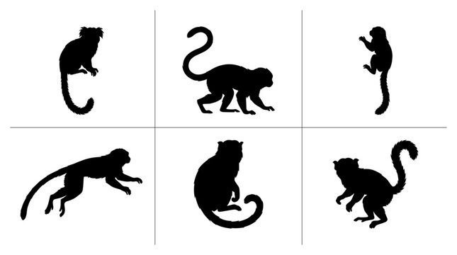 Tamarin monkey silhouettes set with figures climbing, sitting and jumping for wildlife logos