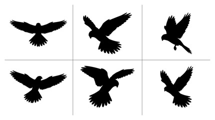 Fototapeta premium Bird silhouettes set with kestrel in flight poses for logo and print