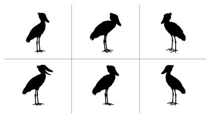 Fototapeta premium Shoebill bird silhouettes set with different poses for logo, signage and print