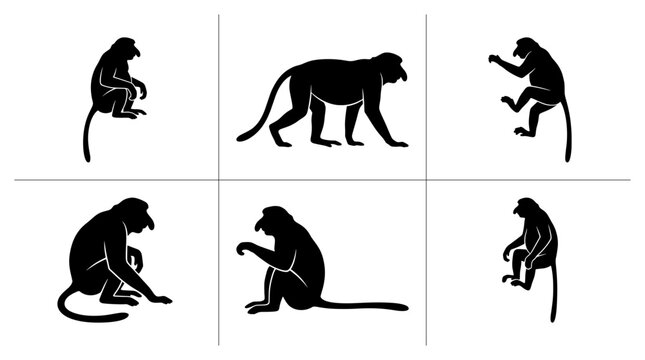 Proboscis monkey silhouettes set with figures in various poses for logo or signage