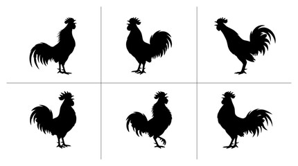 Rooster silhouettes set with birds in different poses for farm or nature design © Hasan