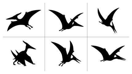 Pteranodon silhouettes set with flying poses, prehistoric animal for logo and print © Hasan