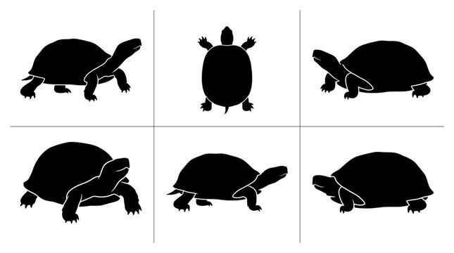 Turtle silhouettes set with different poses, reptile icons for nature and wildlife design