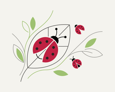 Red ladybugs crawling on delicate green leaves and branches against a off-white background. Perfect for spring greeting cards, organic packaging designs, children educational materials.