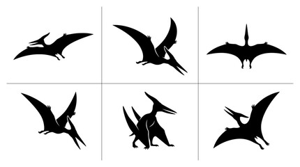 Pteranodon silhouettes set with flying and landing poses for prehistoric or dinosaur themes © Rayhan