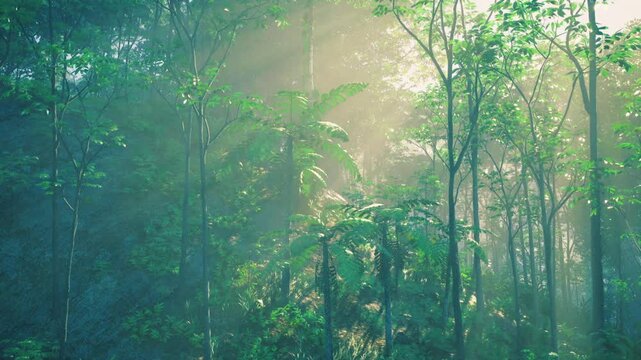 Emerald mist across thailand forest at dawn, soft green palette with delicate seedlings and diffuse light, serene ecological scene for wellness and nature