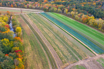 Naklejka premium aerial view of farm field and autumn trees