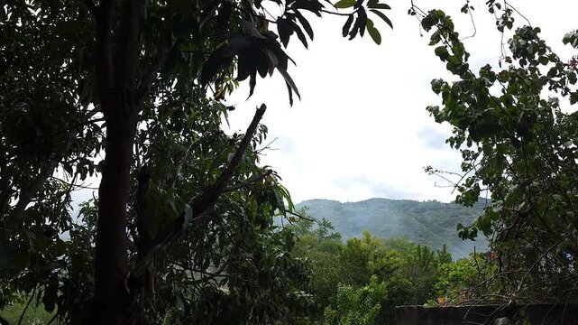 Smoke and Haze Spreading Across Mountain Forest Trees