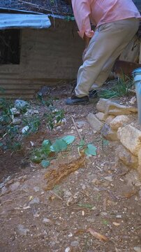 Young Man Digging Planting Hole using Machete Tool