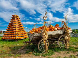 Wooden wagon and pumpkin pyramid display. An antique cart holds orange squashes next to a large stacked structure under a blue sky with white clouds. © Анна Терелюк