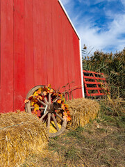 Red barn with wheel. Wooden wagon wheel decorated with autumn leaves leaning against a painted farm building. © Анна Терелюк