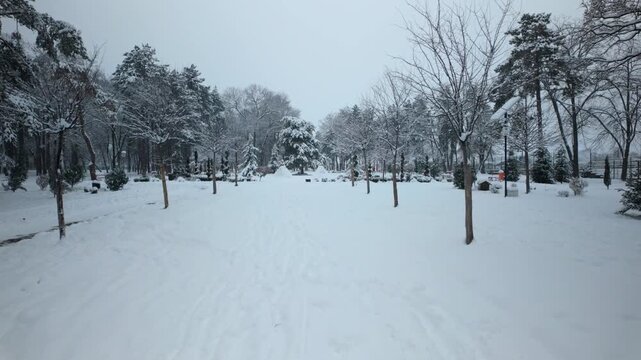 Snow Covered Park Path Among Winter Trees