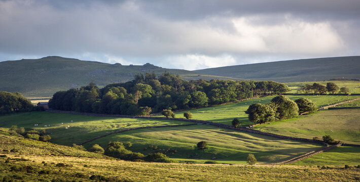 beautiful landscape with trees, grazing horses and fields seen from dartmoor hills in devon