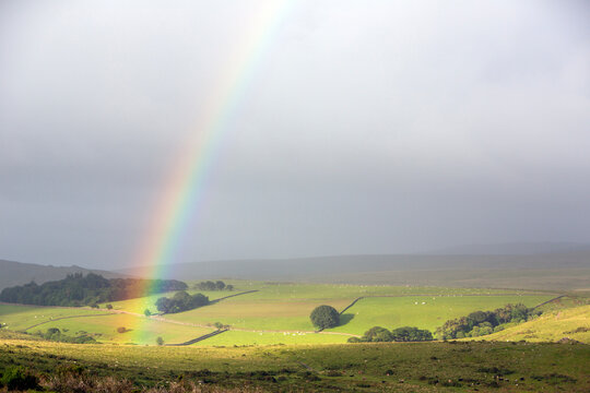 beautiful landscape of dartmoor hills in warm evening light with rainbow
