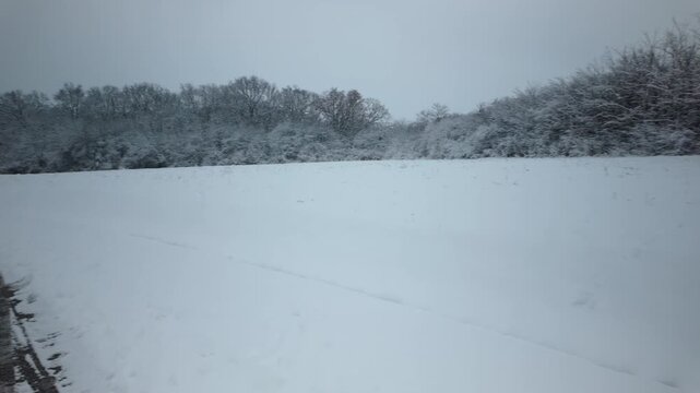 Snowy Field Woodland Beside Curving Road