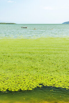 Gorgeous picturesque scene of Lake Skadar, Montenegro