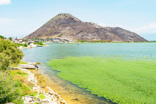Gorgeous picturesque scene of Lake Skadar, Montenegro