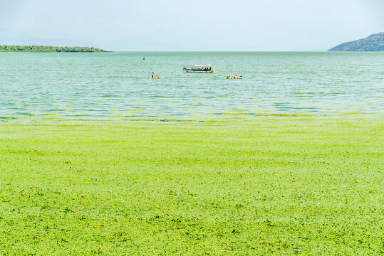 Gorgeous picturesque scene of Lake Skadar, Montenegro