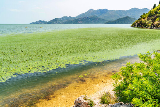 Gorgeous picturesque scene of Lake Skadar, Montenegro