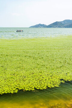 Gorgeous picturesque scene of Lake Skadar, Montenegro