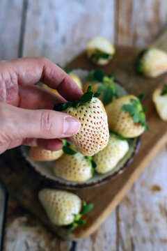 White strawberry, 'Pineberry' variety