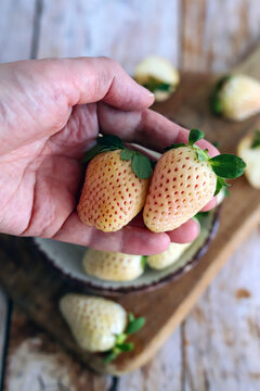 White strawberry, 'Pineberry' variety