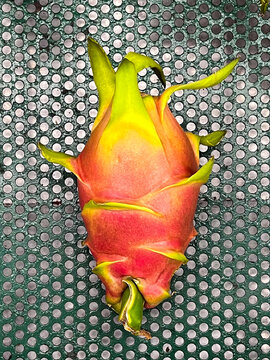 Single Yellow Red Orange Dragon Fruit