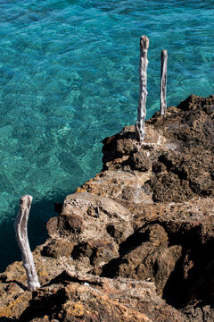 Ibiza, Balearic Islands, Spain: crystal clear water and three dry logs on the rocks at Cala Nova, one of the most beautiful and famous beaches in the northeast of the island