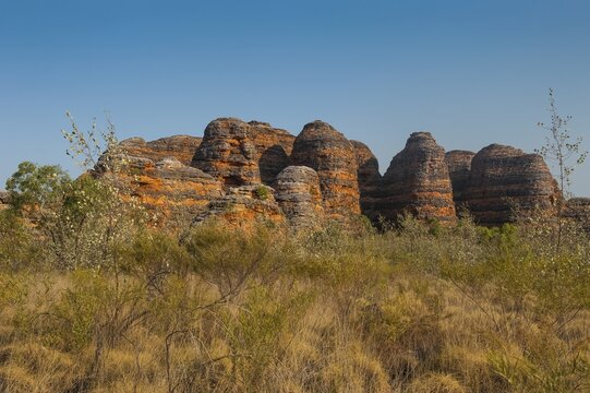 Bungle Bungles, beehive-shaped sandstone towers, Purnululu National Park, UNESCO World Heritage Site, Eastern Kimberleys, Western Australia