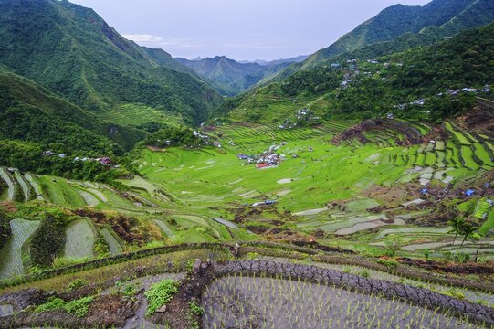 Batad rice terraces, part of the world heritage sight Banaue, Luzon, Philippines
