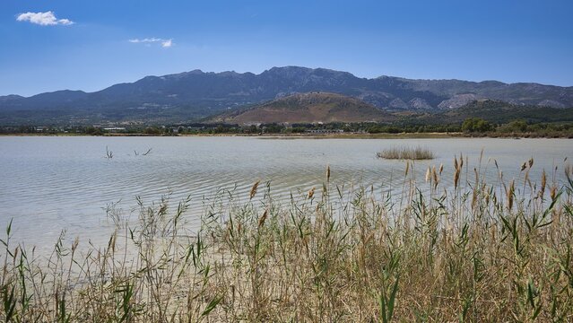 A calm lake with reeds in the foreground and mountains in the background under a clear sky, salt lake, Tigaki, nature reserve, hydro biotope, Kos, Dodecanese, Greek Islands, Greece