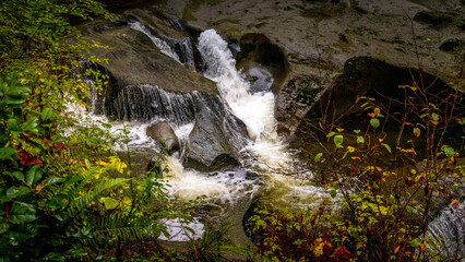 waterfall in the forest © Scaia Photo