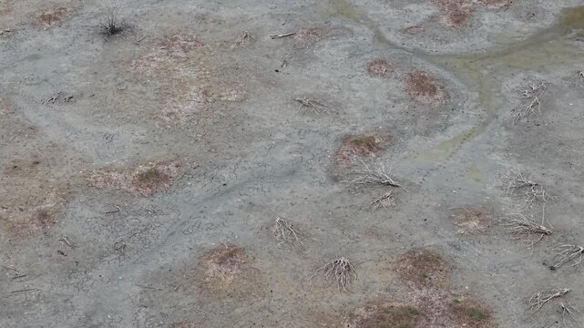 Aerial view of dry parched land with sparse dried vegetation in rural Kotabaru South Kalimantan