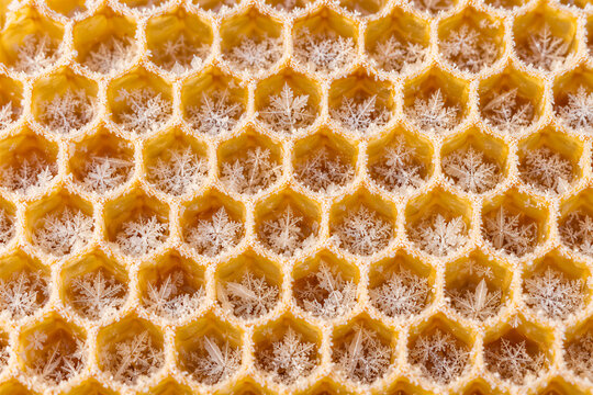 Macro view of snowflakes resting inside honeycomb cells, frozen golden wax structure, winter nature concept. Winter, cold weather, seasonal change, macro photography.