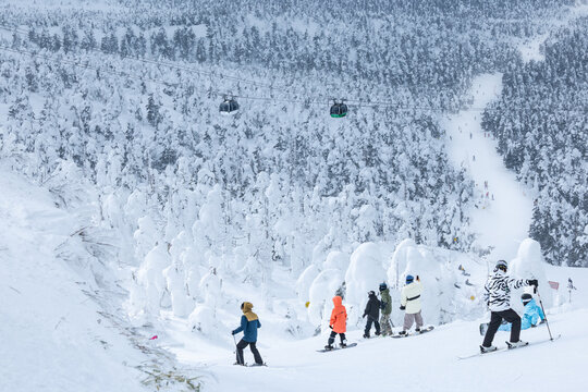 白銀世界の山形蔵王の樹氷とスキー場ゲレンデ