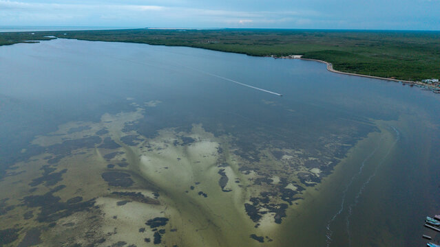 Vista a&eacute;rea del estero de R&iacute;o Lagartos con manglares y una lancha en Yucat&aacute;n, M&eacute;xico