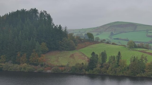 Autumn colours over Llyn Brianne Dam and Reservoir from a drone, Lake Vyrnwy, Powys, Wales, England, United Kingdom