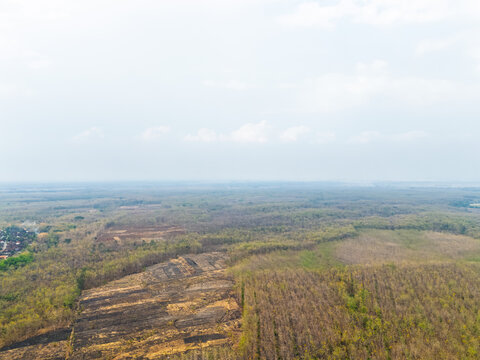 High altitude aerial drone view of a dry teak forest plantation and a scorched field in East Java Indonesia