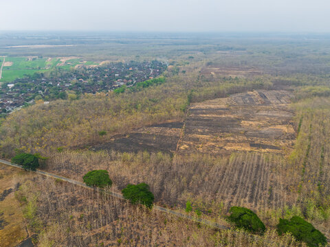 Aerial drone view of a rural village nestled among fields and dry teak forests in East Java Indonesia