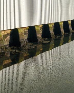 Green algae growing on the concrete base of a building in Buckie, Moray, Scotland, with a clear reflection visible on the water surface