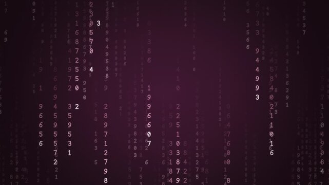 Rose pink digital rain of falling numbers and code streams, elegant romantic data technology background, seamless loop